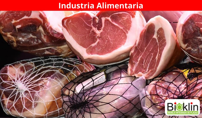 industria alimentaria